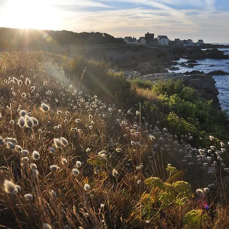 A Piriac-sur-mer, Plage, Wifi, Animaux Acceptes - Fr-1-306-1155 Apartmán