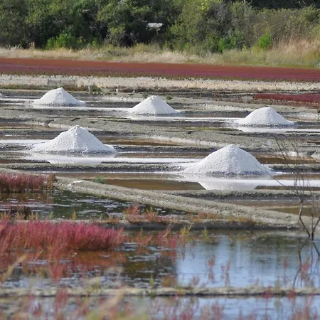 A Piriac-sur-mer, Plage, Wifi, Animaux Acceptes - Fr-1-306-1155 Apartmán Piriac-sur-Mer