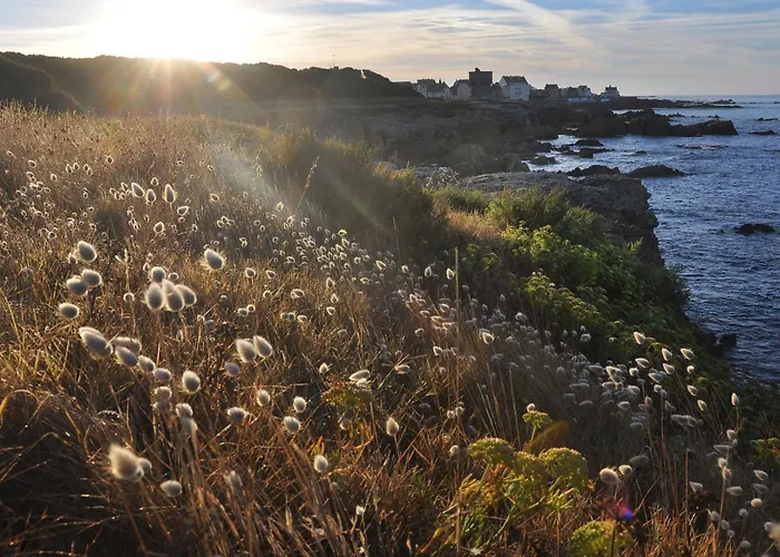 Piriac-sur-mer, 3 Pièces, 4 Personnes - Fr-1-306-1155 Appartamento