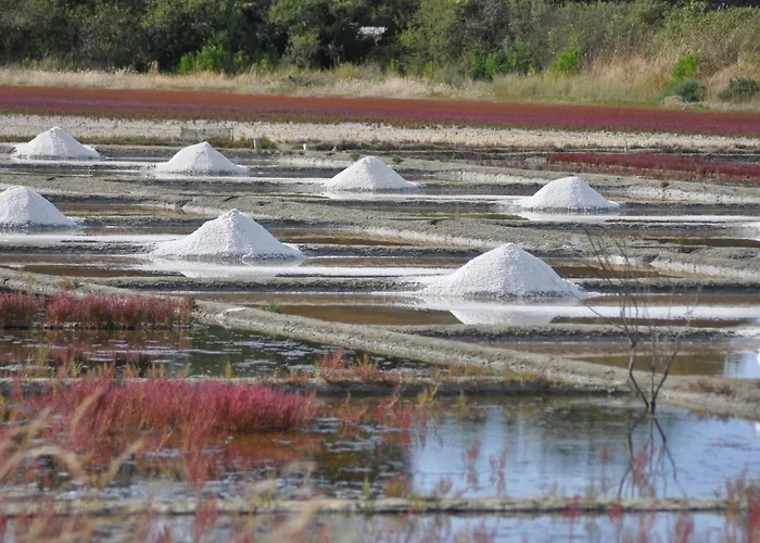 Piriac-sur-mer, 3 Pièces, 4 Personnes - Fr-1-306-1155 Appartamento Piriac-sur-Mer